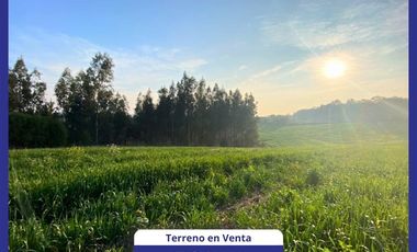 Parcela en Venta en Ruta s254 sin número