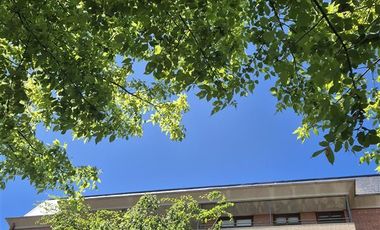 Departamento en Venta en Ohiggins 480