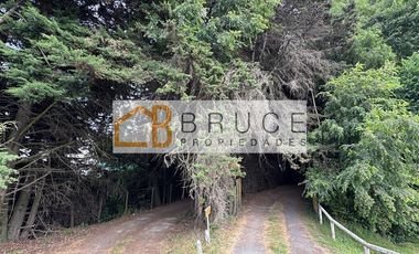 Local Comercial en Venta en Pilauco 2 km de Osorno, Los Lagos