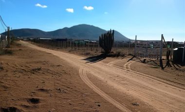 Parcela en Venta en Ruta 5 Sur/ Guanaqueros
