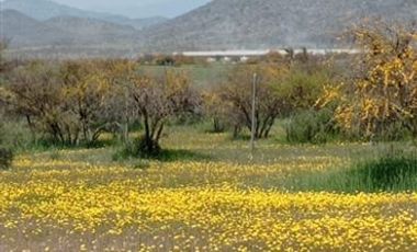 Parcela en Venta en El Bodal