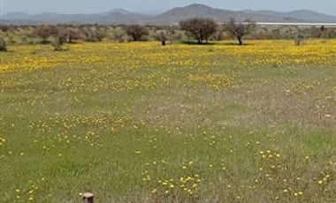 Parcela en Venta en El Bodal