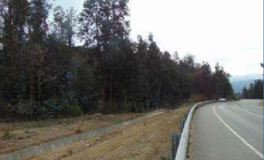 Agrícola en Venta en Ruta F-760 Los Quillayes Quilpue