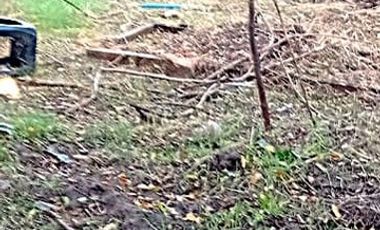 Sitio en Venta en SAN JOAQUIN CON LAS PERDICES