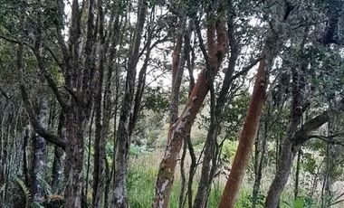 Local Comercial en Venta en Rio Chico ,Camino Polincay