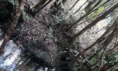 Parcela en Venta en Rio Chico ,Camino Polincay