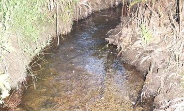 Parcela en Venta en Rio Chico ,Camino Polincay