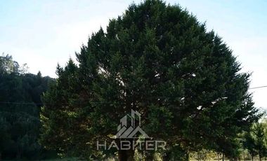 Parcela en Venta en Rio Chico ,Camino Polincay