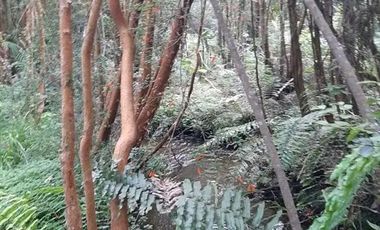 Parcela en Venta en Rio Chico ,Camino Polincay