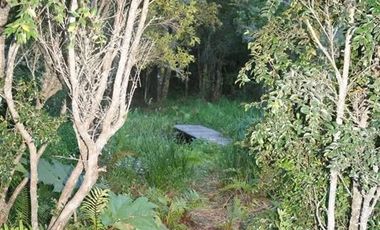 Parcela en Venta en Rio Chico ,Camino Polincay