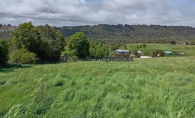 Sitio en Venta en PARCELA 1 HECTAREA A 60 MINUTOS DEL AEROPUERTO/ LOS MUERMOS