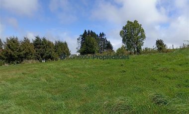Sitio en Venta en PARCELA 1 HECTAREA A 60 MINUTOS DEL AEROPUERTO/ LOS MUERMOS