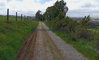 Sitio en Venta en PARCELA 1 HECTAREA A 60 MINUTOS DEL AEROPUERTO/ LOS MUERMOS