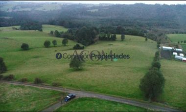 Sitio en Venta en PARCELA 1 HECTAREA A 60 MINUTOS DEL AEROPUERTO/ LOS MUERMOS