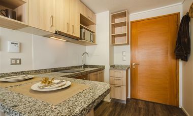 Departamento en Arriendo en Santa Elena / Metro Ñuble / ESTUDIO