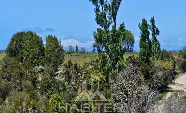 Parcela en Venta en Cruce Cardenas