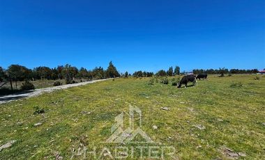 Parcela en Venta en Cruce Cardenas