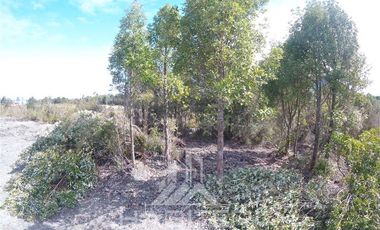 Parcela en Venta en Lenca