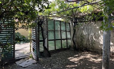 Casa en Arriendo en Manuel Montt / Bilbal