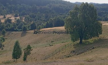 Agrícola en Venta en Venta Hermoso Campo, Los Muermos