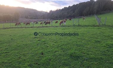 Agrícola en Venta en Venta Hermoso Campo, Los Muermos