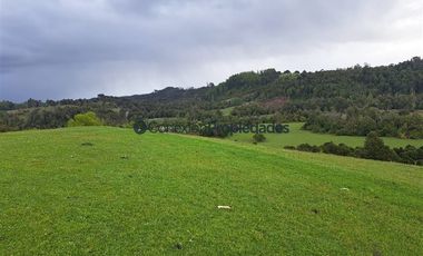 Agrícola en Venta en Venta Hermoso Campo, Los Muermos