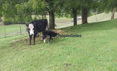 Agrícola en Venta en Venta Hermoso Campo, Los Muermos