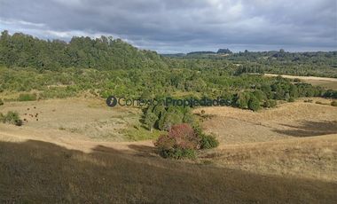 Agrícola en Venta en Venta Hermoso Campo, Los Muermos