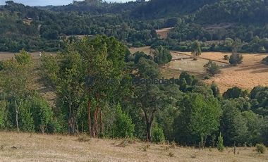 Agrícola en Venta en Venta Hermoso Campo, Los Muermos