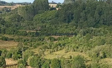 Agrícola en Venta en Venta Hermoso Campo, Los Muermos