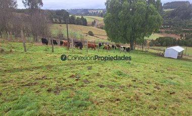 Agrícola en Venta en Venta Hermoso Campo, Los Muermos