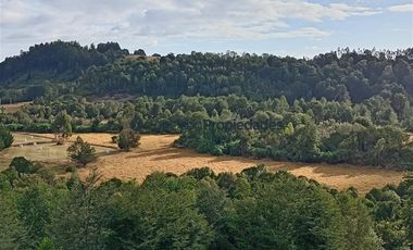 Agrícola en Venta en Venta Hermoso Campo, Los Muermos