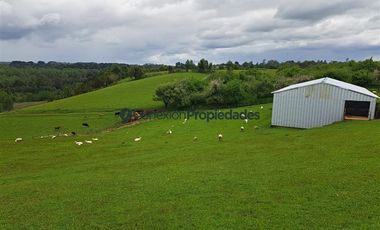 Agrícola en Venta en Venta Hermoso Campo, Los Muermos