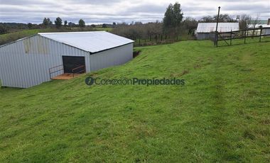 Agrícola en Venta en Venta Hermoso Campo, Los Muermos