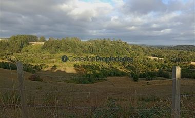 Agrícola en Venta en Venta Hermoso Campo, Los Muermos