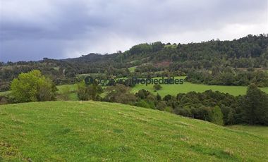 Agrícola en Venta en Venta Hermoso Campo, Los Muermos
