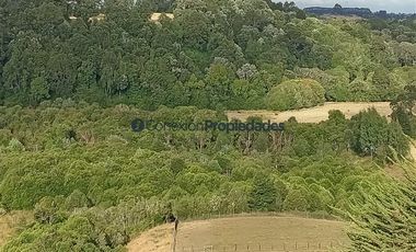 Agrícola en Venta en Venta Hermoso Campo, Los Muermos