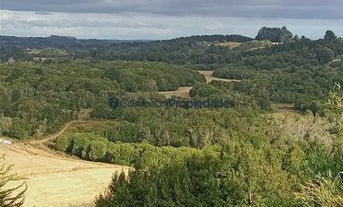 Agrícola en Venta en Venta Hermoso Campo, Los Muermos