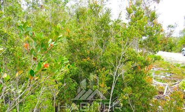 Parcela en Venta en Puente Chacao