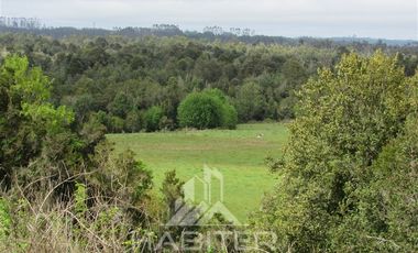 Agrícola en Venta en Los Muermos