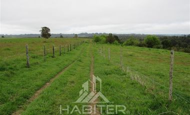 Agrícola en Venta en Los Muermos