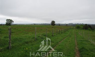 Agrícola en Venta en Los Muermos