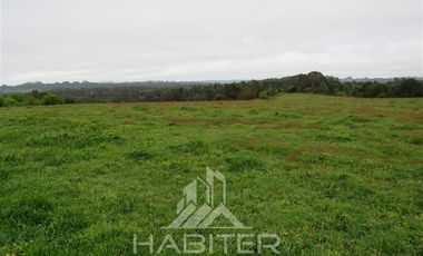 Agrícola en Venta en Los Muermos