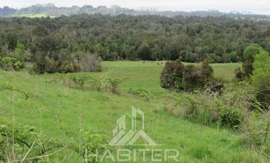 Agrícola en Venta en Los Muermos
