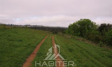Agrícola en Venta en Los Muermos
