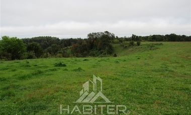 Agrícola en Venta en Los Muermos