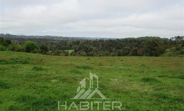 Agrícola en Venta en Los Muermos