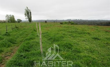 Agrícola en Venta en Los Muermos