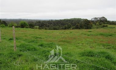Agrícola en Venta en Los Muermos