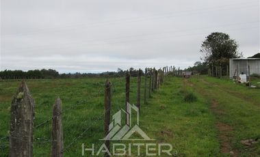 Agrícola en Venta en Los Muermos